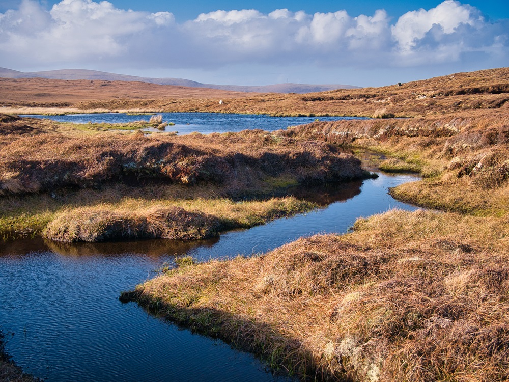 George Rist - Image of Scottish Wetlands