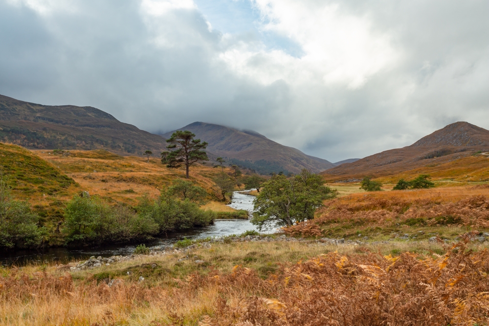 George Rist, Scottish Highland Wilderness